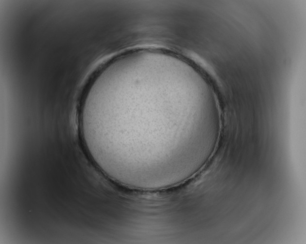 X0000091911408200709261707