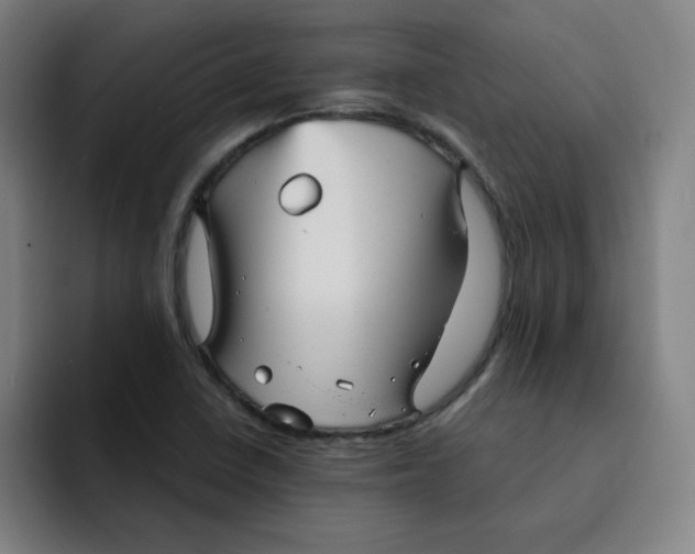 X0000091911410200709261707