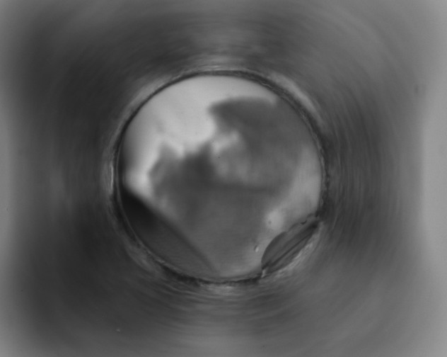 X0000091911413200709261707