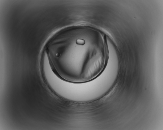 X0000091911414200709261707