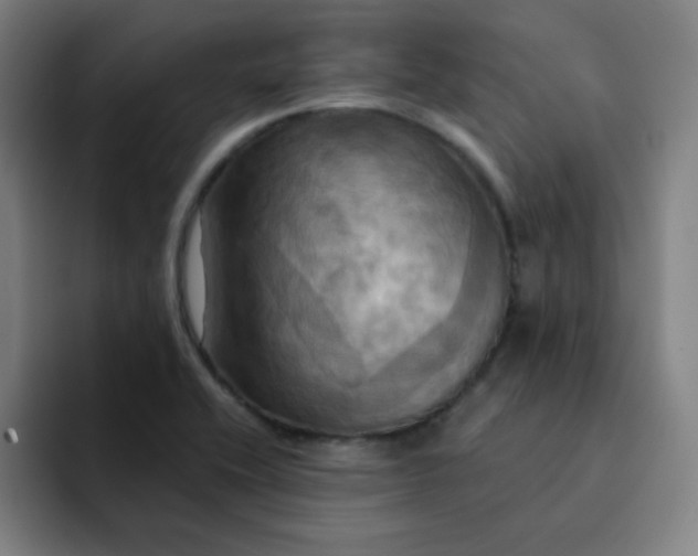 X0000091911416200709261707