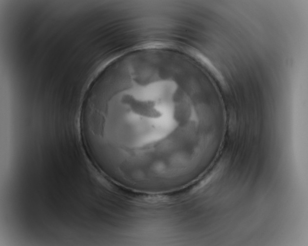 X0000091911417200709261707