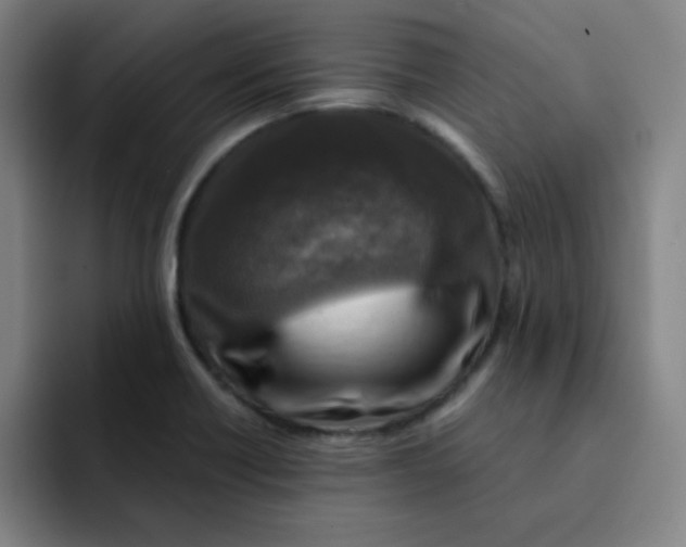 X0000091911418200709261707