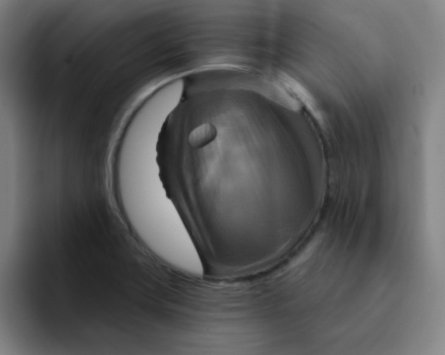 X0000091911419200709261707