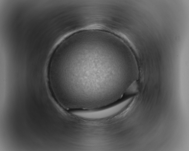 X0000091911422200709261707