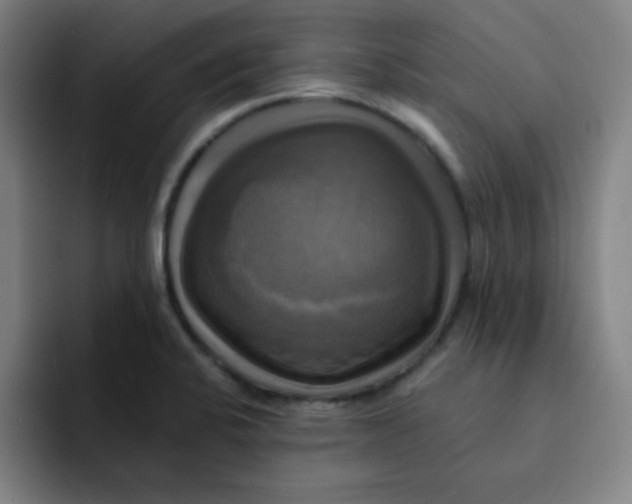 X0000091911424200709261707