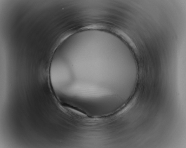 X0000091911425200709261707