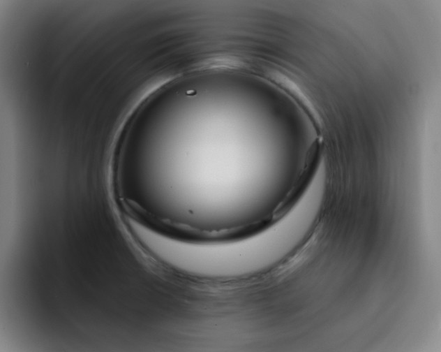 X0000091911426200709261707