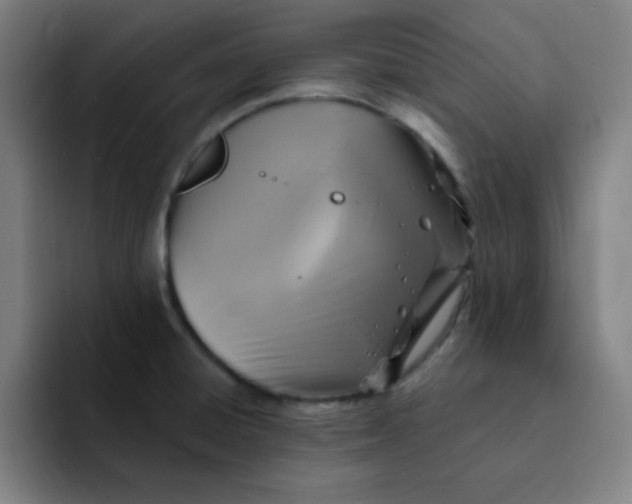 X0000091911428200709261707