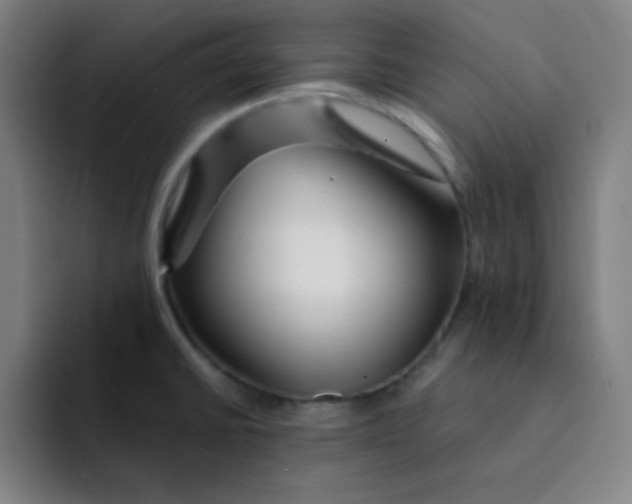 X0000091911430200709261708