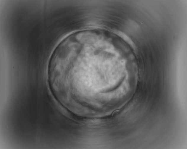 X0000091911431200709261708