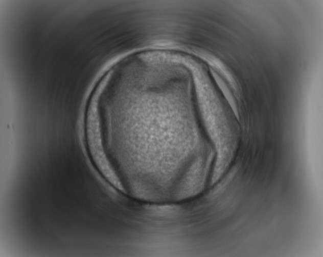 X0000091911432200709261708