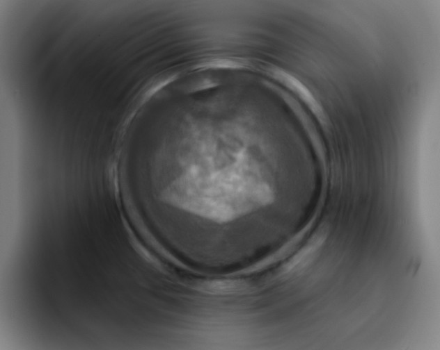 X0000091911433200709261708