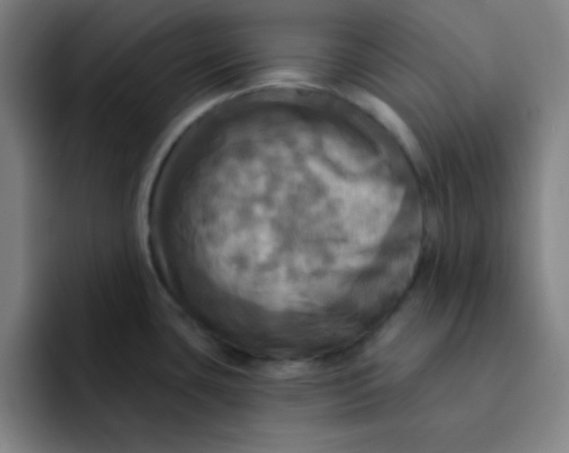 X0000091911435200709261708