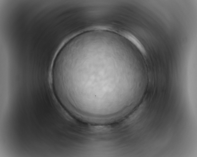 X0000091911436200709261708