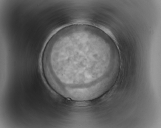 X0000091911440200709261708