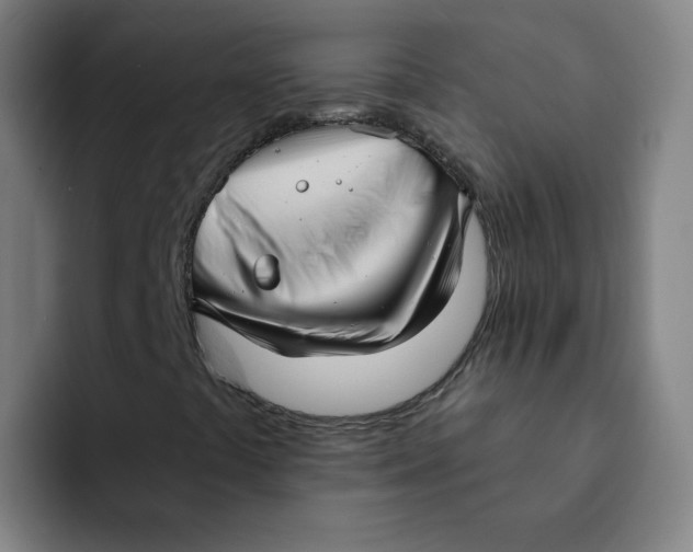 X0000091911441200709261707