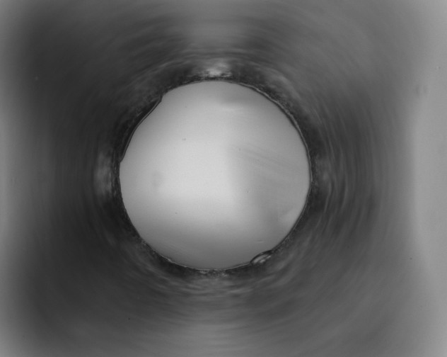 X0000091911442200709261707