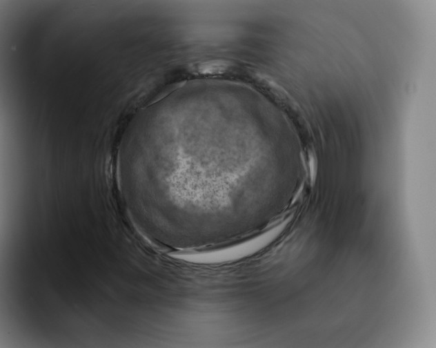 X0000091911443200709261707