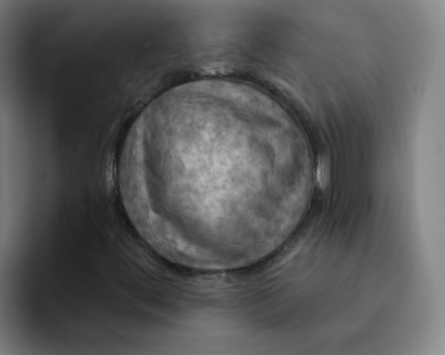 X0000091911444200709261707