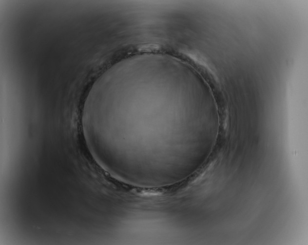 X0000091911445200709261707