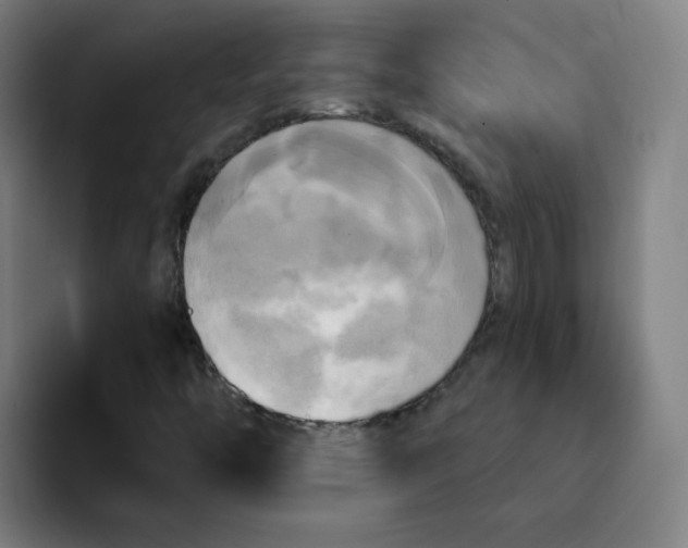 X0000091911446200709261707