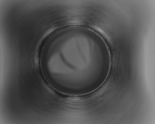 X0000091911450200709261707