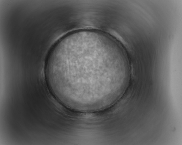 X0000091911452200709261707