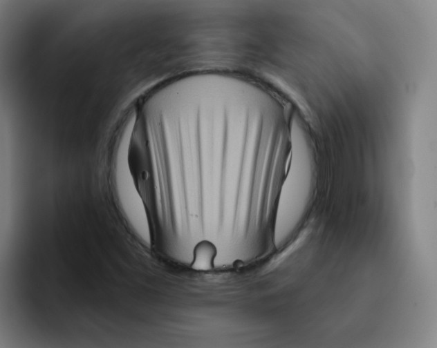 X0000091911453200709261707