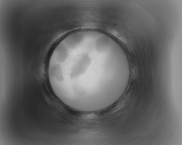 X0000091911454200709261707