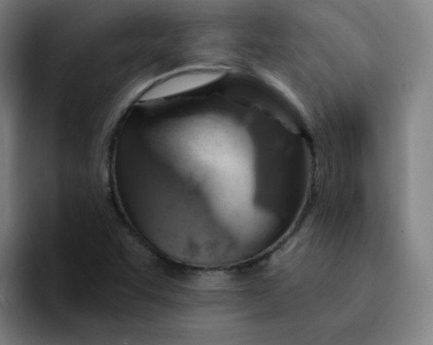 X0000091911455200709261707