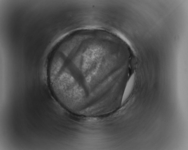 X0000091911456200709261707