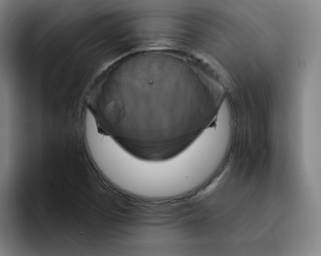 X0000091911457200709261707