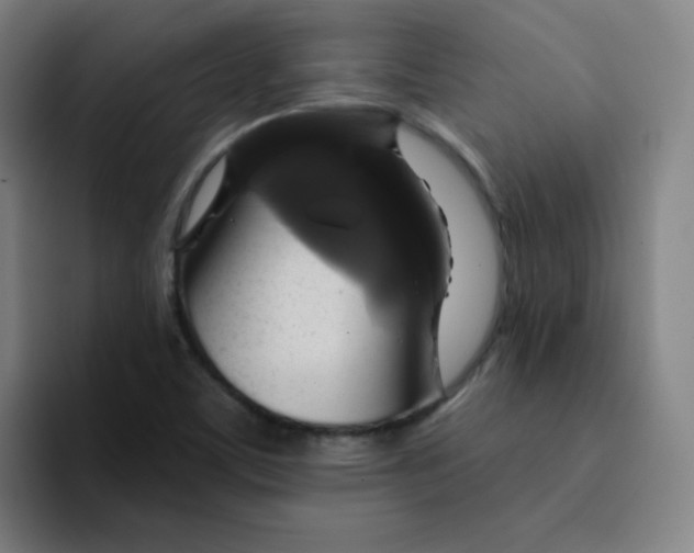 X0000091911459200709261707