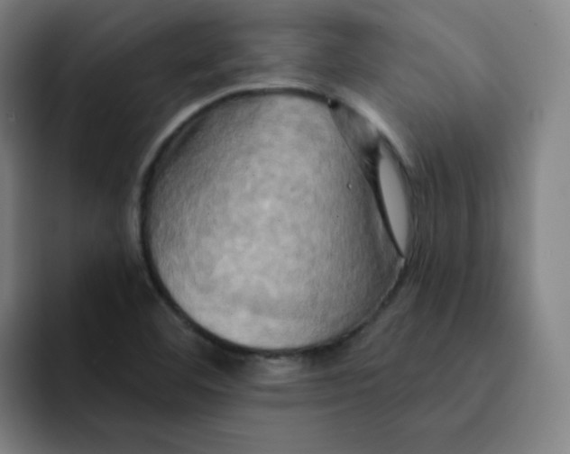 X0000091911460200709261707