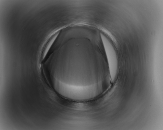 X0000091911461200709261707