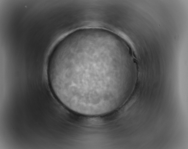 X0000091911464200709261707