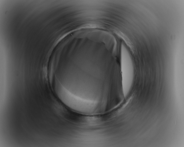 X0000091911465200709261707