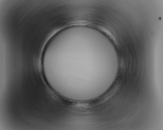 X0000091911466200709261707