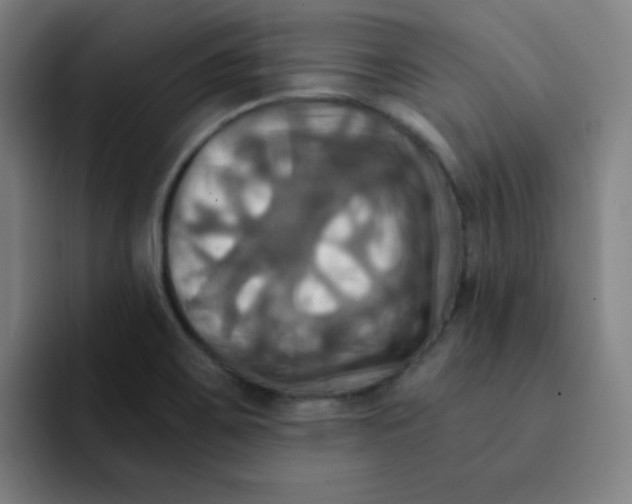 X0000091911467200709261707