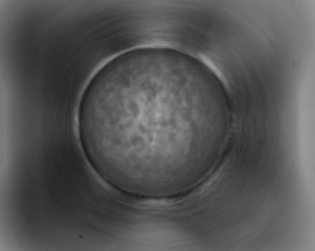 X0000091911468200709261707