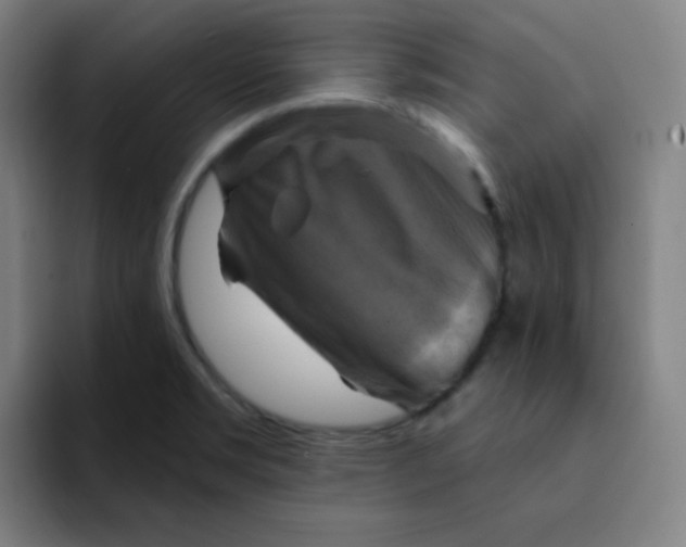 X0000091911469200709261707