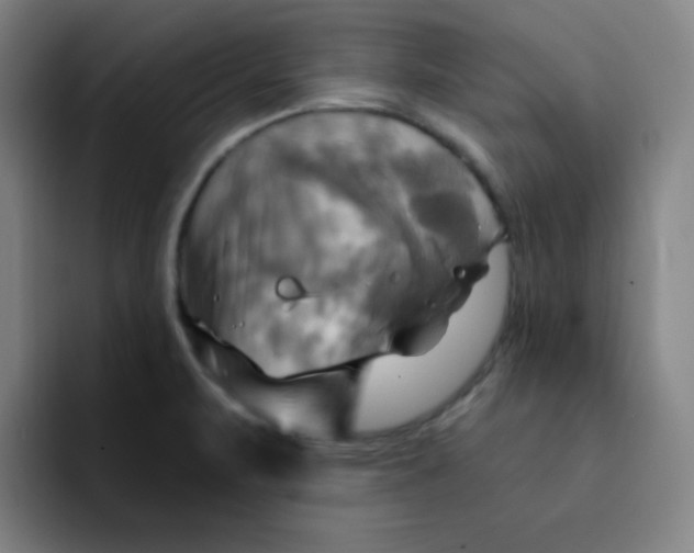 X0000091911471200709261707