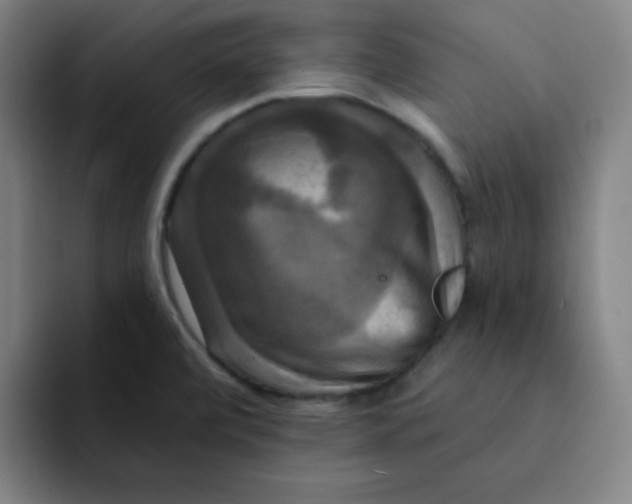 X0000091911472200709261707