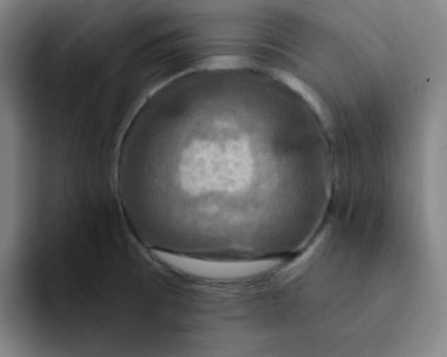 X0000091911473200709261707