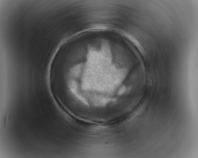 X0000091911475200709261707