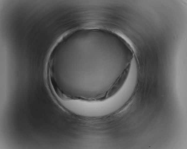 X0000091911477200709261707