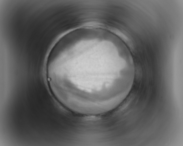 X0000091911478200709261707