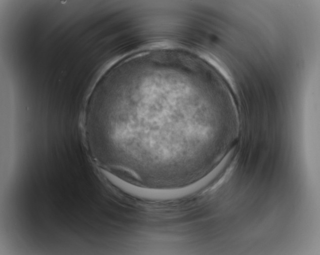 X0000091911481200709261707