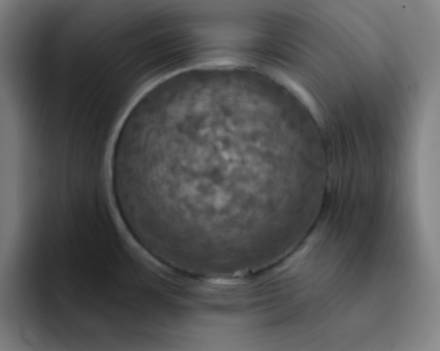 X0000091911483200709261707